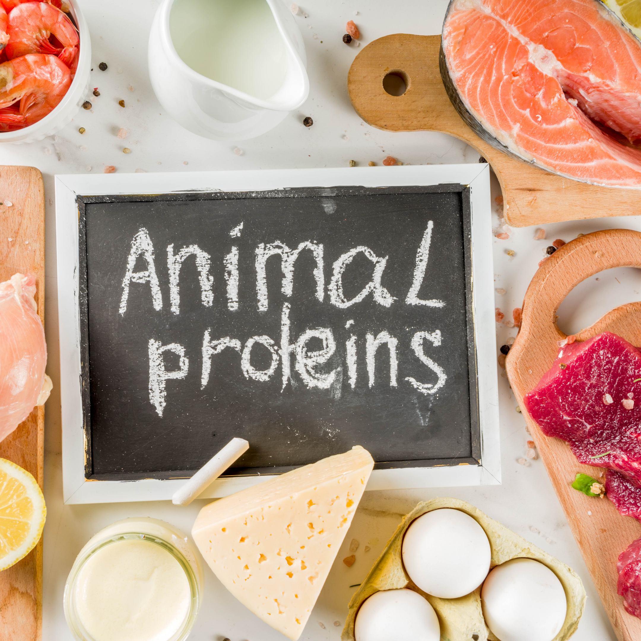 The Importance of rotating different animal protein in a raw food diet for dogs